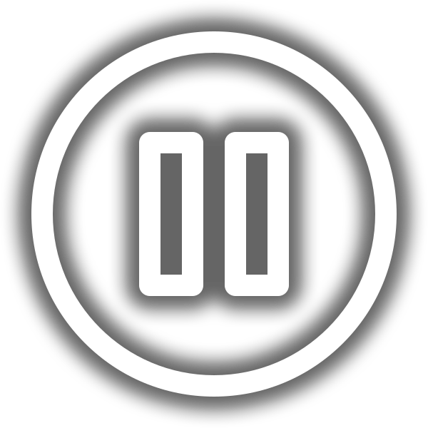 pauseBtn